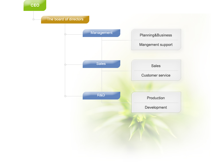 CEO, The board of directors, Management, Sales, R&D, Planning & Business, Mamgement support, Sales, Customer service, Production, Development